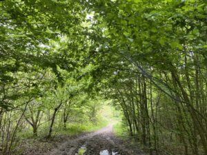 Qu’est-ce-que l’écologie intérieure ?