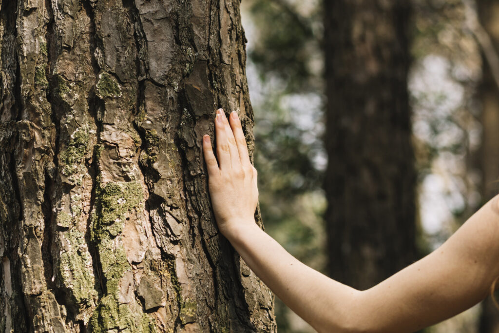 Main posée sur un arbre pour revenir au corps et à l’instant présent